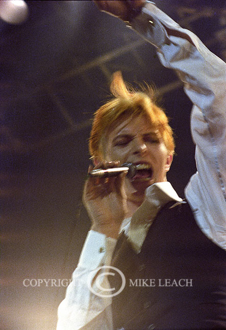 David Bowie