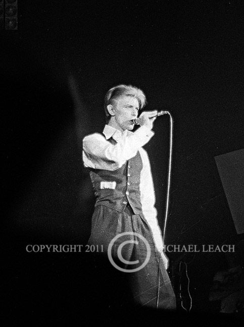 David Bowie