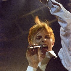 David Bowie