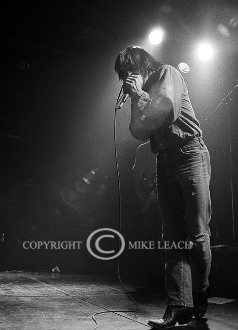 The Jesus Lizard
