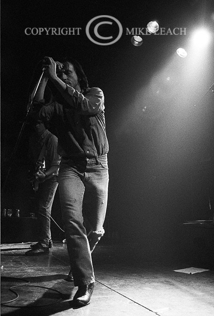 The Jesus Lizard