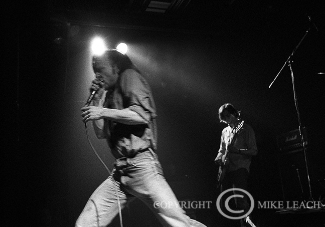 The Jesus Lizard