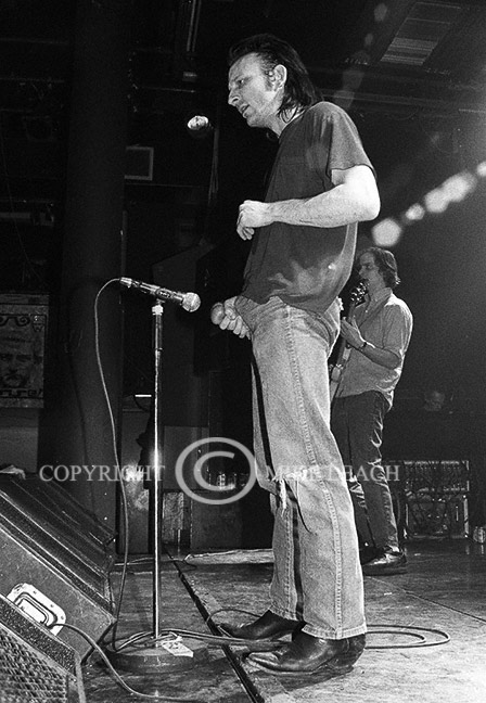 The Jesus Lizard