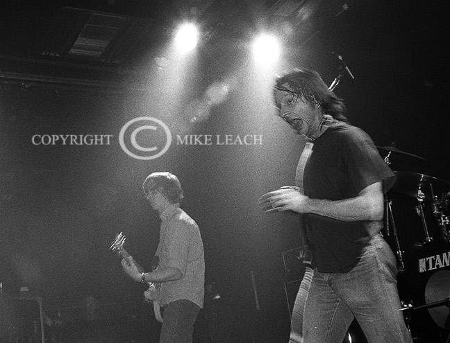 The Jesus Lizard