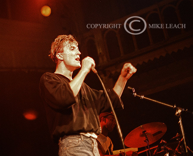 D.A.F. ,Deutsch Amerikanische Freundschaft