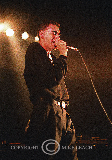 D.A.F. ,Deutsch Amerikanische Freundschaft