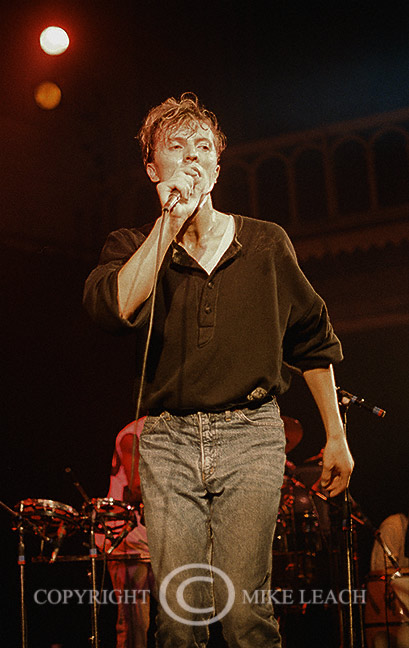 D.A.F. ,Deutsch Amerikanische Freundschaft