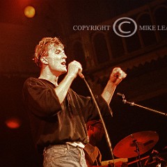 D.A.F. ,Deutsch Amerikanische Freundschaft