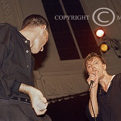 D.A.F. ,Deutsch Amerikanische Freundschaft