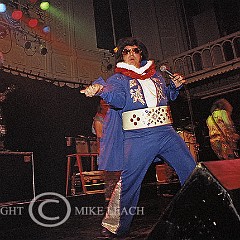 Dread Zeppelin