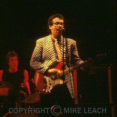 Elvis Costello