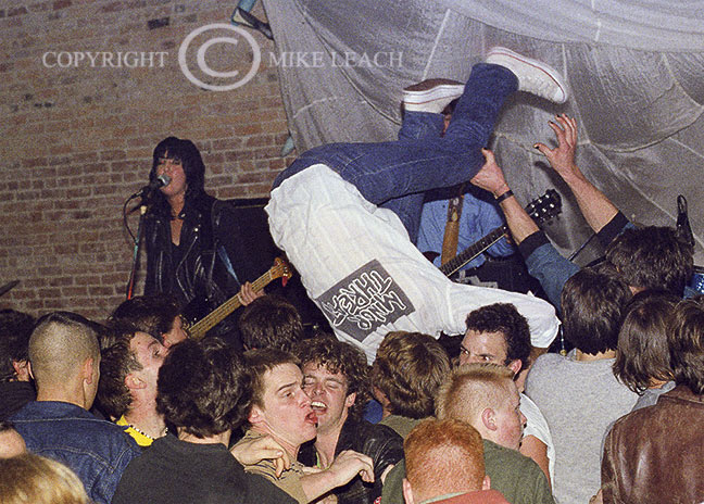 Fastbacks 