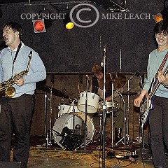 Little Bears From Bangkok