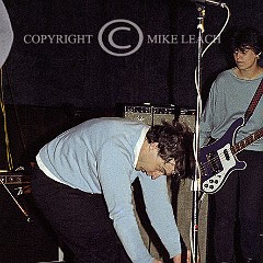 Little Bears From Bangkok