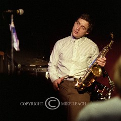 Little Bears From Bangkok