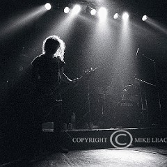 Mudhoney