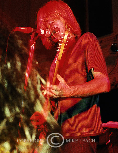 Mudhoney