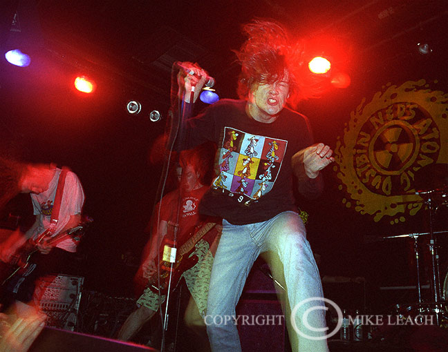 Ned's Atomic Dustbin