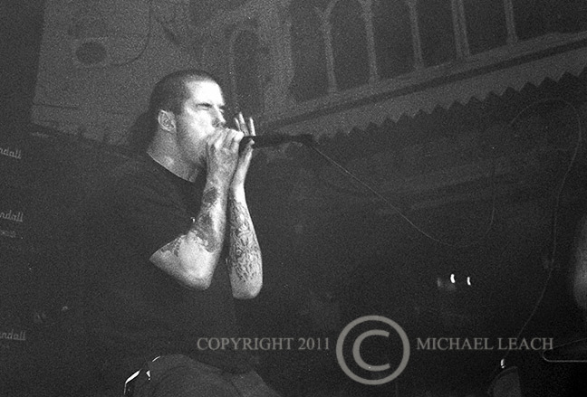Pantera