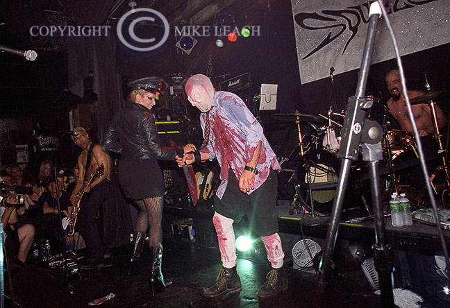 Squeezebox at Don Hill's