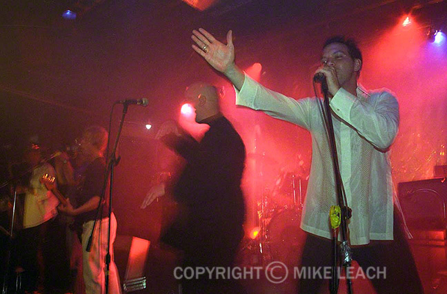 Squeezebox at Don Hill's