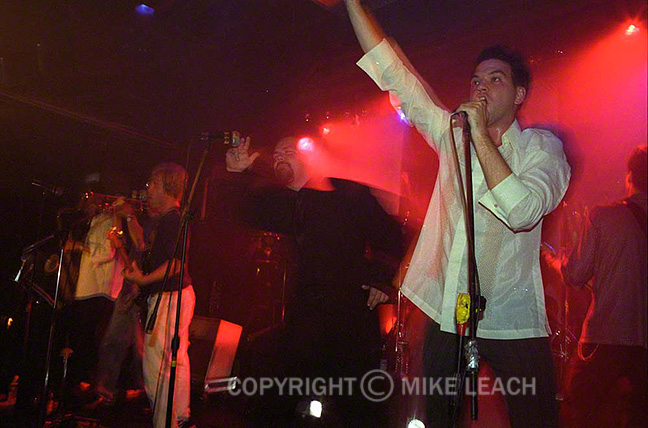 Squeezebox at Don Hill's