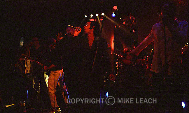 Squeezebox at Don Hill's