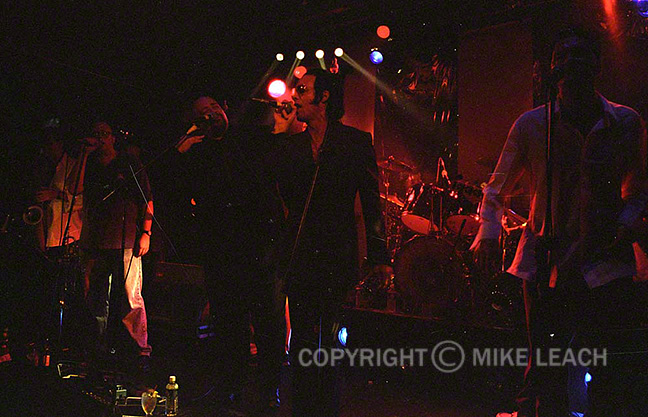 Squeezebox at Don Hill's