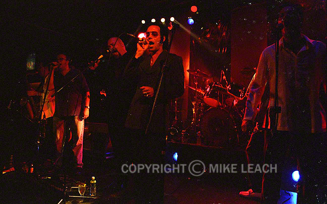 Squeezebox at Don Hill's