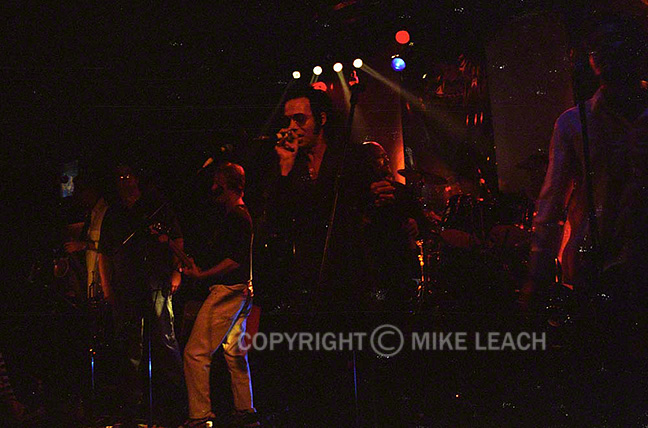 Squeezebox at Don Hill's