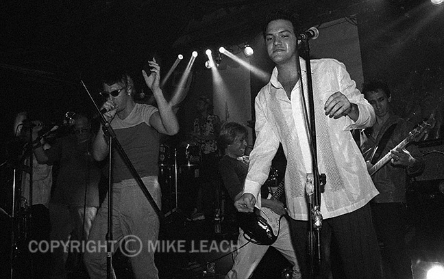 Squeezebox at Don Hill's