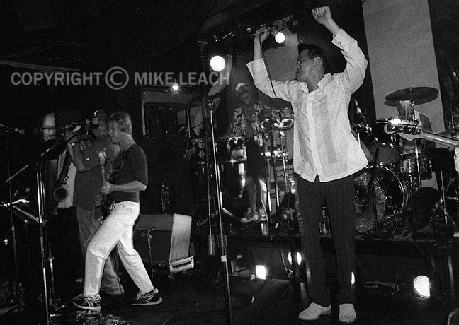 Squeezebox at Don Hill's