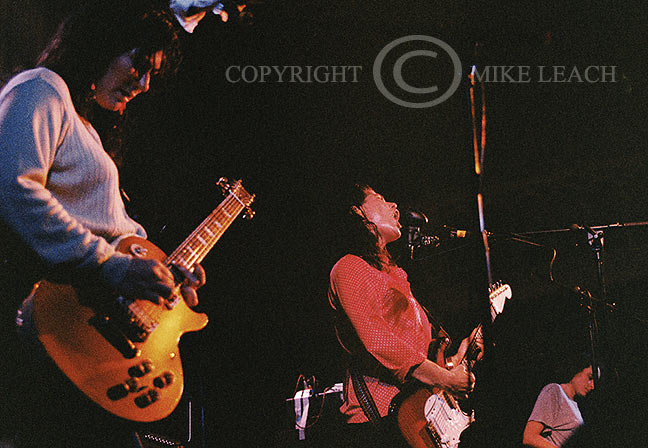 The Breeders