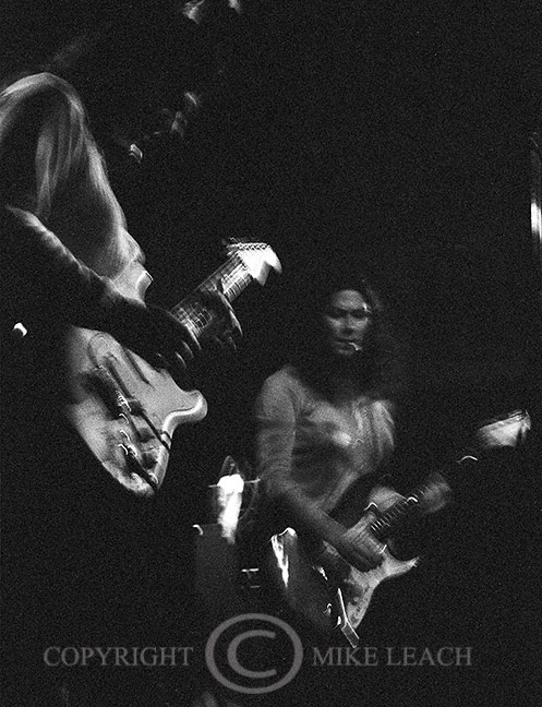 The Breeders