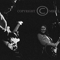 The Breeders