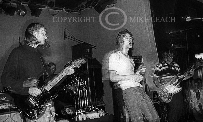 The Verve