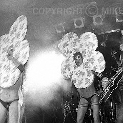 The Voluptuous Horror of Karen Black