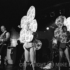 The Voluptuous Horror of Karen Black